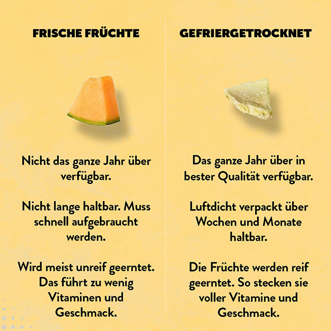 Gefriergetrocknete-Melone-Vergleich-frische-Melone